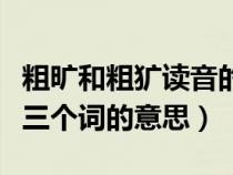 粗旷和粗犷读音的拼音怎么写（粗矿粗旷粗犷三个词的意思）