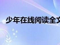 少年在线阅读全文阅读（少年阿宾的故事）