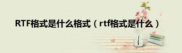 RTF格式是什么格式（rtf格式是什么）