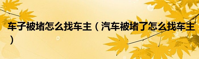 车子被堵怎么找车主（汽车被堵了怎么找车主）
