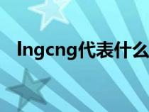 lngcng代表什么意思（ng代表什么意思）