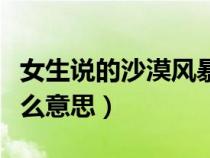 女生说的沙漠风暴是什么意思（沙漠风暴是什么意思）