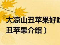 大凉山丑苹果好吃吗多少钱一斤（四川大凉山丑苹果介绍）