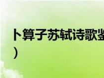 卜算子苏轼诗歌鉴赏（卜算子苏轼原文及赏析）