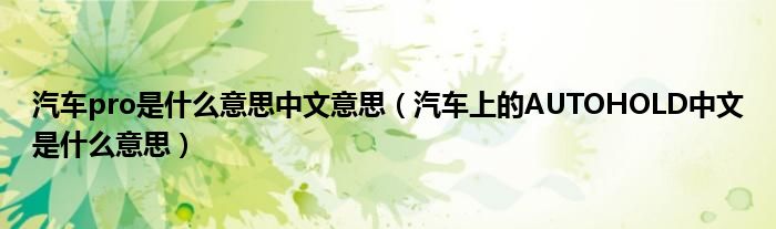 汽车pro是什么意思中文意思（汽车上的AUTOHOLD中文是什么意思）