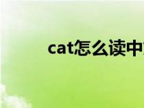 cat怎么读中文谐音（cat怎么读）