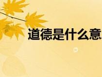 道德是什么意思（道义是什么意思）