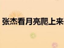 张杰看月亮爬上来歌词（看月亮爬上来歌词）