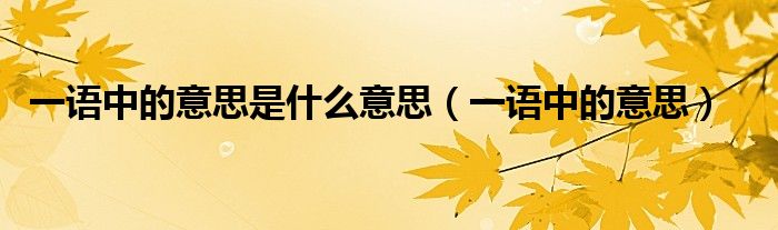 一语中的意思是什么意思（一语中的意思）