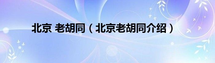 北京 老胡同（北京老胡同介绍）