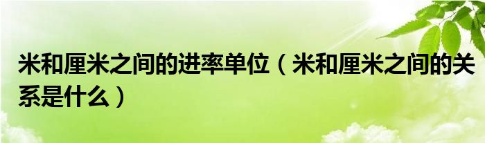 米和厘米之间的进率单位（米和厘米之间的关系是什么）