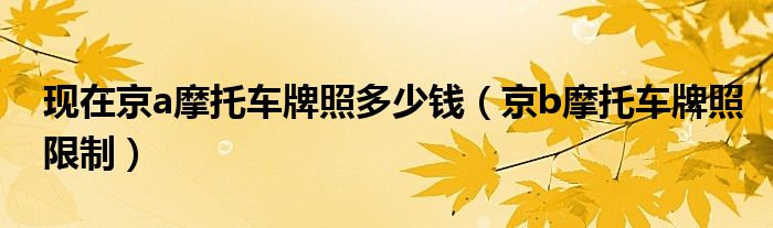 现在京a摩托车牌照多少钱（京b摩托车牌照限制）