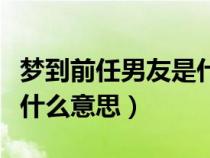 梦到前任男友是什么意思啊（梦到前任男友是什么意思）