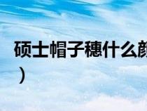 硕士帽子穗什么颜色（硕士帽子穗应该放哪边）