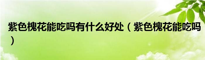 紫色槐花能吃吗有什么好处（紫色槐花能吃吗）