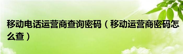 移动电话运营商查询密码（移动运营商密码怎么查）
