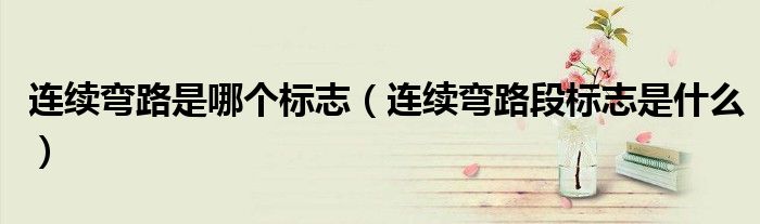 连续弯路是哪个标志（连续弯路段标志是什么）