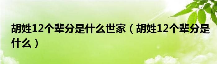 胡姓12个辈分是什么世家（胡姓12个辈分是什么）