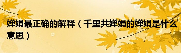 婵娟最正确的解释（千里共婵娟的婵娟是什么意思）
