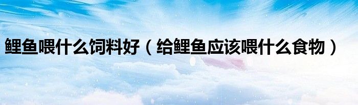 鲤鱼喂什么饲料好（给鲤鱼应该喂什么食物）