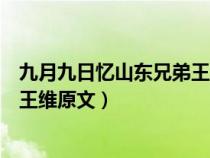 九月九日忆山东兄弟王维的诗怎么读（九月九日忆山东兄弟王维原文）