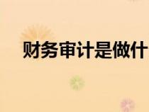 财务审计是做什么的（审计是做什么的）