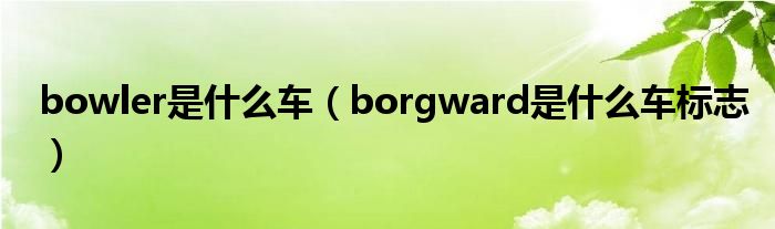 bowler是什么车（borgward是什么车标志）