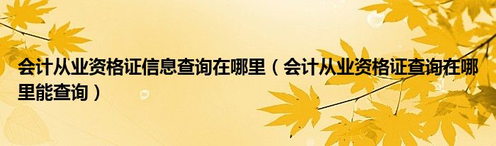 会计从业资格证信息查询在哪里（会计从业资格证查询在哪里能查询）