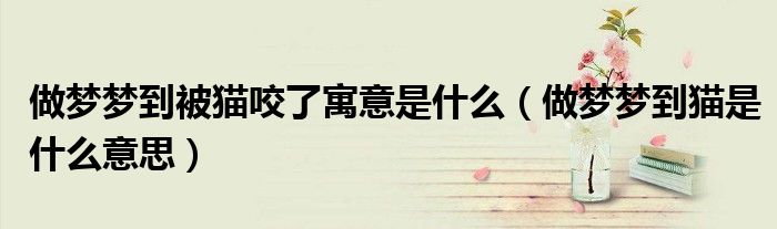 做梦梦到被猫咬了寓意是什么（做梦梦到猫是什么意思）