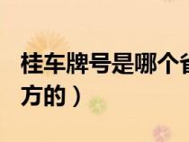 桂车牌号是哪个省（桂D车牌号是广西哪个地方的）