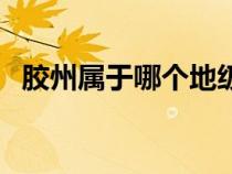 胶州属于哪个地级市（胶州属于哪个城市）