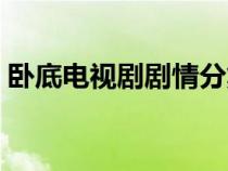 卧底电视剧剧情分集介绍（卧底电视剧剧情）