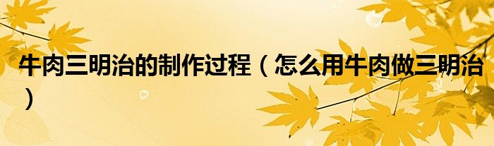 牛肉三明治的制作过程（怎么用牛肉做三明治）