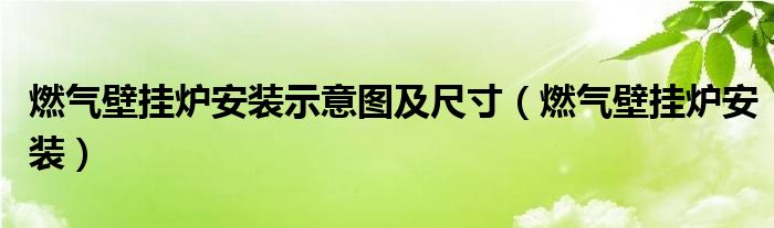 燃气壁挂炉安装示意图及尺寸（燃气壁挂炉安装）