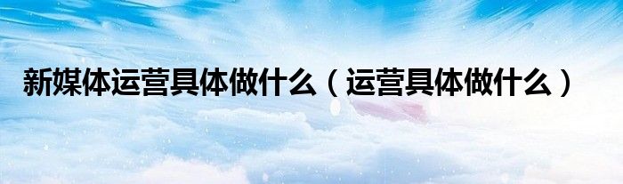 新媒体运营具体做什么（运营具体做什么）