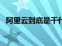 阿里云到底是干什么的（阿里云是干嘛的）