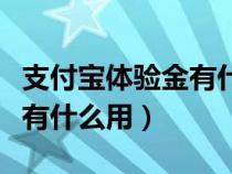 支付宝体验金有什么用安全吗（支付宝体验金有什么用）