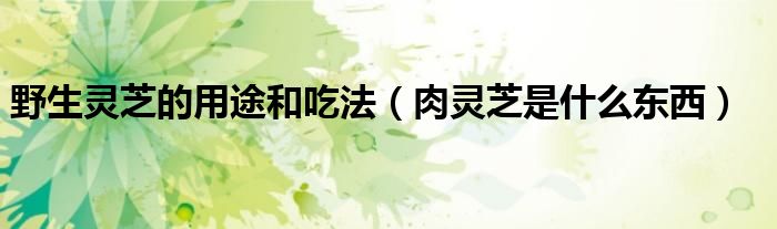 野生灵芝的用途和吃法（肉灵芝是什么东西）