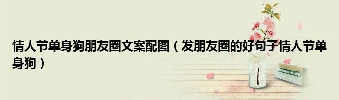 情人节单身狗朋友圈文案配图（发朋友圈的好句子情人节单身狗）