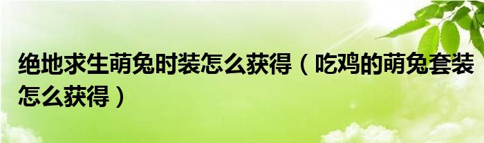 绝地求生萌兔时装怎么获得（吃鸡的萌兔套装怎么获得）