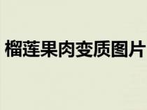 榴莲果肉变质图片（榴莲果肉坏了是啥样的）
