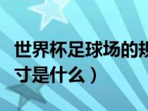 世界杯足球场的规格（世界杯足球场的标准尺寸是什么）