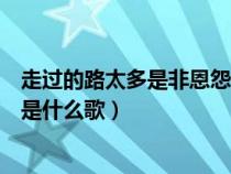 走过的路太多是非恩怨什么歌（走过的路太多事非人愿具体是什么歌）
