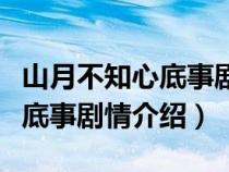 山月不知心底事剧情介绍大结局（山月不知心底事剧情介绍）