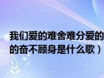 我们爱的难舍难分爱的奋不顾身歌词（我们爱的难舍难分爱的奋不顾身是什么歌）