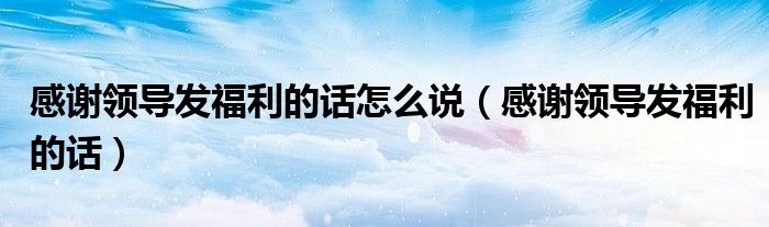 感谢领导发福利的话怎么说（感谢领导发福利的话）