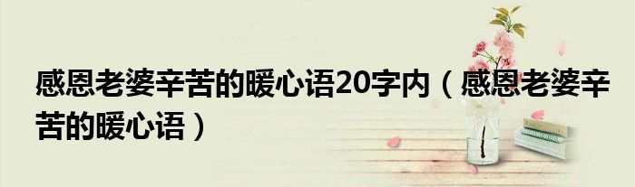 感恩老婆辛苦的暖心语20字内（感恩老婆辛苦的暖心语）
