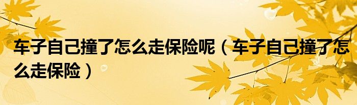 车子自己撞了怎么走保险呢（车子自己撞了怎么走保险）