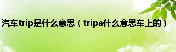 汽车trip是什么意思（tripa什么意思车上的）