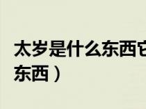 太岁是什么东西它的价值是多少（太岁是什么东西）